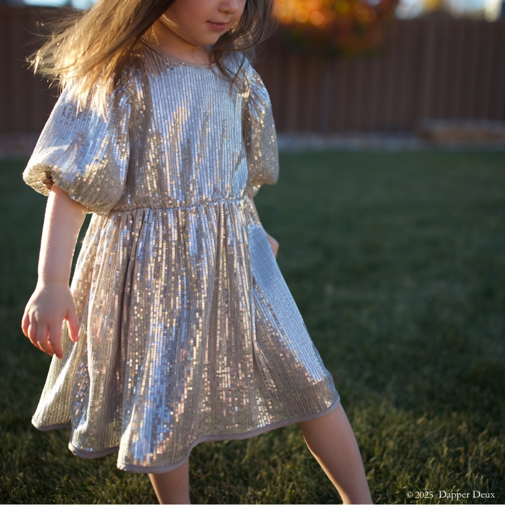 H&M | Silver Sequin Dress
